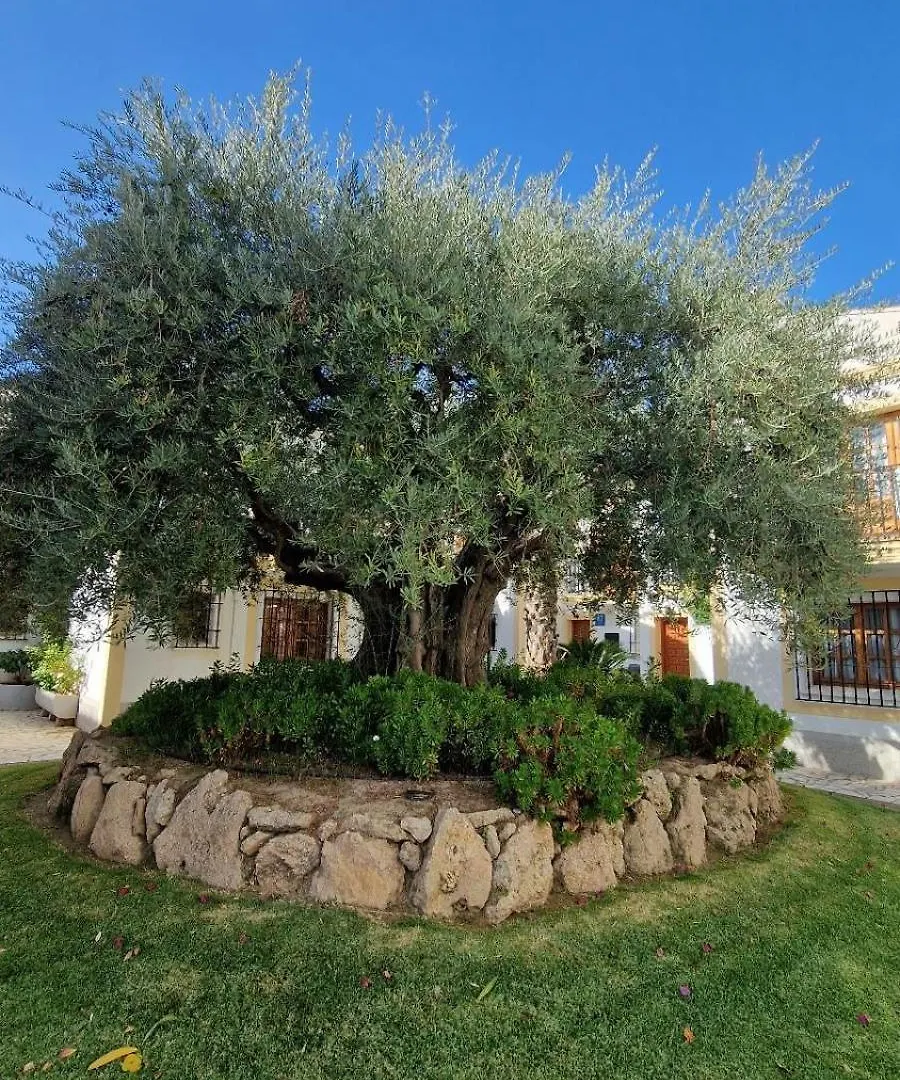 Daire Apartamento Alhambra Vera Costa Con Piscina Abierta Todo El Ano Playas de Vera